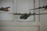 Click on one of the size names above to enlarge this image Click on one of the size names above to enlarge this image