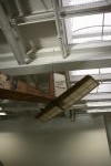 Click on one of the size names above to enlarge this image Click on one of the size names above to enlarge this image