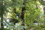 Click on one of the size names below to enlarge this image