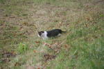 Click on one of the size names below to enlarge this image