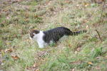 Click on one of the size names below to enlarge this image