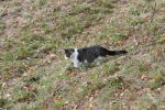 Click on one of the size names below to enlarge this image