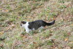 Click on one of the size names below to enlarge this image