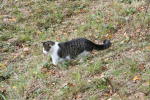 Click on one of the size names below to enlarge this image