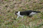 Click on one of the size names below to enlarge this image