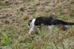 Click on one of the size names below to enlarge this image