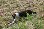 Click on one of the size names above to enlarge this image Click on one of the size names above to enlarge this image