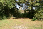 Click on one of the size names above to enlarge this image Click on one of the size names above to enlarge this image