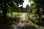 Click on one of the size names above to enlarge this image Click on one of the size names above to enlarge this image