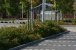 Click on one of the size names above to enlarge this image Click on one of the size names above to enlarge this image