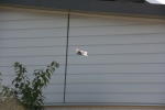 Click on one of the size names above to enlarge this image Click on one of the size names above to enlarge this image