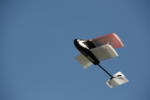 Click on one of the size names above to enlarge this image Click on one of the size names above to enlarge this image