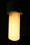 Click on one of the size names above to enlarge this image Click on one of the size names above to enlarge this image