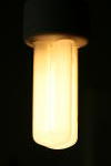 Click on one of the size names above to enlarge this image Click on one of the size names above to enlarge this image