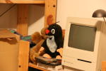 Click on one of the size names above to enlarge this image Click on one of the size names above to enlarge this image