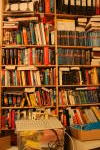 Click on one of the size names above to enlarge this image Click on one of the size names above to enlarge this image