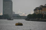 Click on one of the size names above to enlarge this image Click on one of the size names above to enlarge this image