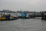 Click on one of the size names above to enlarge this image Click on one of the size names above to enlarge this image