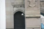 Click on one of the size names above to enlarge this image Click on one of the size names above to enlarge this image