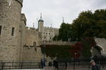 Click on one of the size names above to enlarge this image Click on one of the size names above to enlarge this image