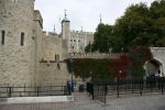 Click on one of the size names above to enlarge this image Click on one of the size names above to enlarge this image