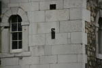 Click on one of the size names above to enlarge this image Click on one of the size names above to enlarge this image