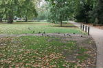 Click on one of the size names above to enlarge this image Click on one of the size names above to enlarge this image