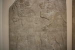 Click on one of the size names above to enlarge this image Click on one of the size names above to enlarge this image
