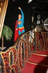 Click on one of the size names above to enlarge this image Click on one of the size names above to enlarge this image