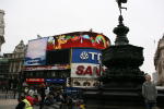 Click on one of the size names above to enlarge this image Click on one of the size names above to enlarge this image