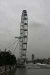 Click on one of the size names above to enlarge this image Click on one of the size names above to enlarge this image