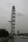 Click on one of the size names above to enlarge this image Click on one of the size names above to enlarge this image