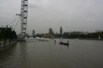 Click on one of the size names above to enlarge this image Click on one of the size names above to enlarge this image
