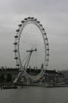 Click on one of the size names above to enlarge this image Click on one of the size names above to enlarge this image