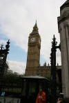 Click on one of the size names above to enlarge this image Click on one of the size names above to enlarge this image