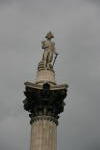 Click on one of the size names above to enlarge this image Click on one of the size names above to enlarge this image