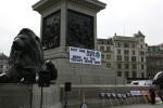 Click on one of the size names above to enlarge this image Click on one of the size names above to enlarge this image