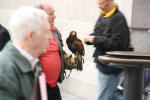 Click on one of the size names above to enlarge this image Click on one of the size names above to enlarge this image