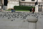 Click on one of the size names above to enlarge this image Click on one of the size names above to enlarge this image