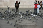 Click on one of the size names above to enlarge this image Click on one of the size names above to enlarge this image