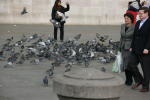 Click on one of the size names above to enlarge this image Click on one of the size names above to enlarge this image