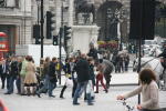 Click on one of the size names above to enlarge this image Click on one of the size names above to enlarge this image