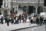 Click on one of the size names above to enlarge this image Click on one of the size names above to enlarge this image