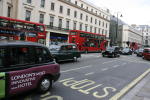 Click on one of the size names above to enlarge this image Click on one of the size names above to enlarge this image