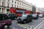 Click on one of the size names above to enlarge this image Click on one of the size names above to enlarge this image