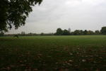 Click on one of the size names above to enlarge this image Click on one of the size names above to enlarge this image