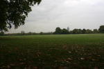 Click on one of the size names above to enlarge this image Click on one of the size names above to enlarge this image