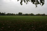 Click on one of the size names above to enlarge this image Click on one of the size names above to enlarge this image