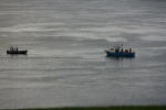 Click on one of the size names above to enlarge this image Click on one of the size names above to enlarge this image