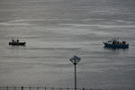 Click on one of the size names above to enlarge this image Click on one of the size names above to enlarge this image